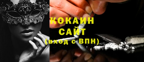 прущая мука Вяземский